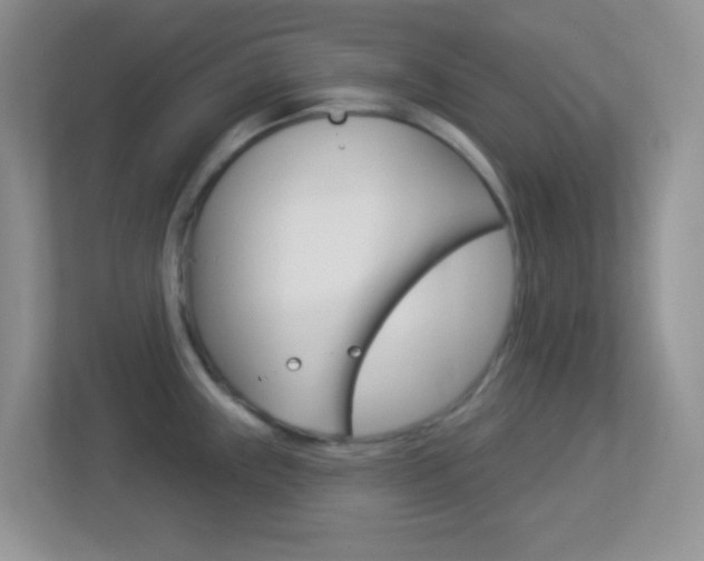 X0000113901243200909241156