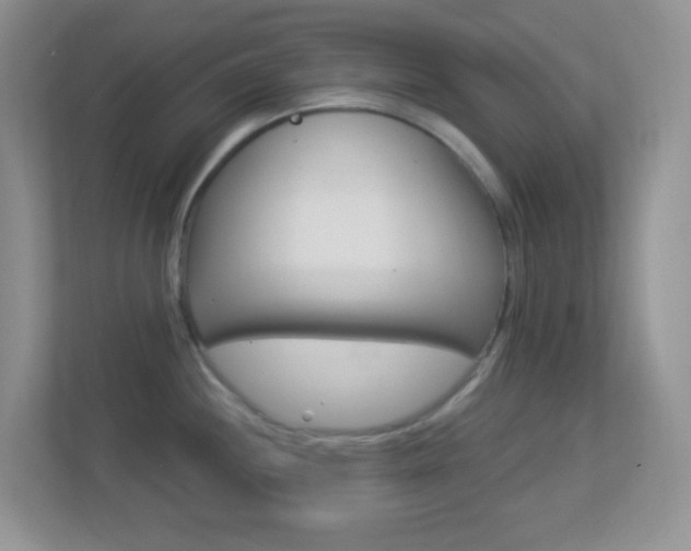 X0000113901244200909241156