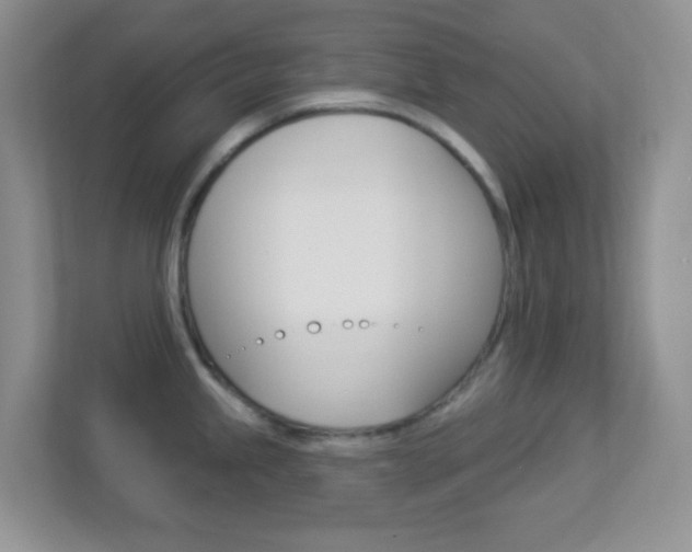 X0000113901245200909241156