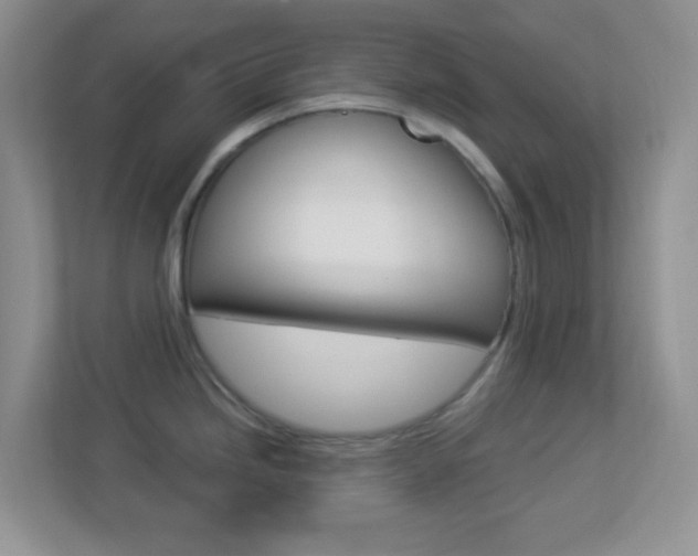 X0000113901246200909241156