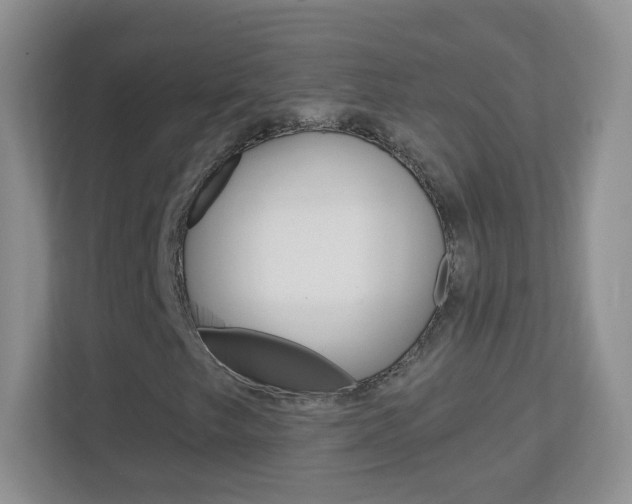 X0000113901249200909241155