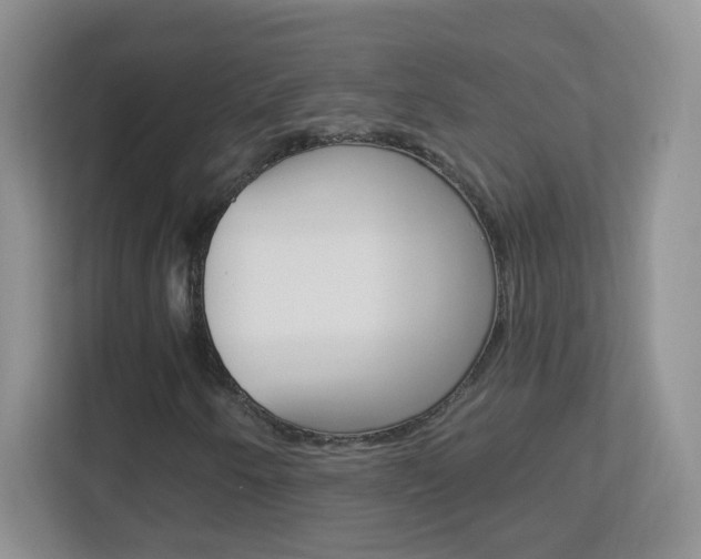 X0000113901250200909241155
