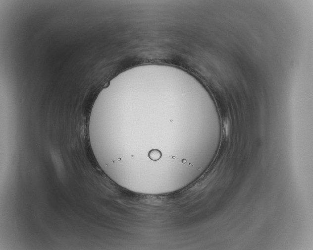 X0000113901251200909241155