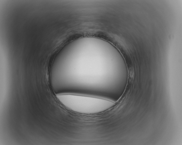 X0000113901252200909241155