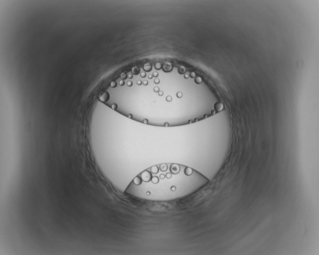 X0000113901255200909241155