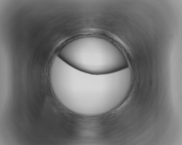 X0000113901259200909241155