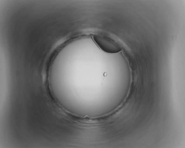 X0000113901261200909241155