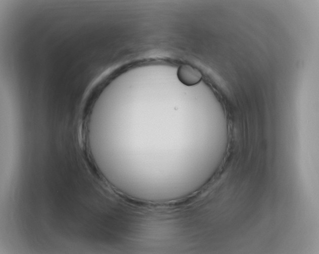 X0000113901262200909241155