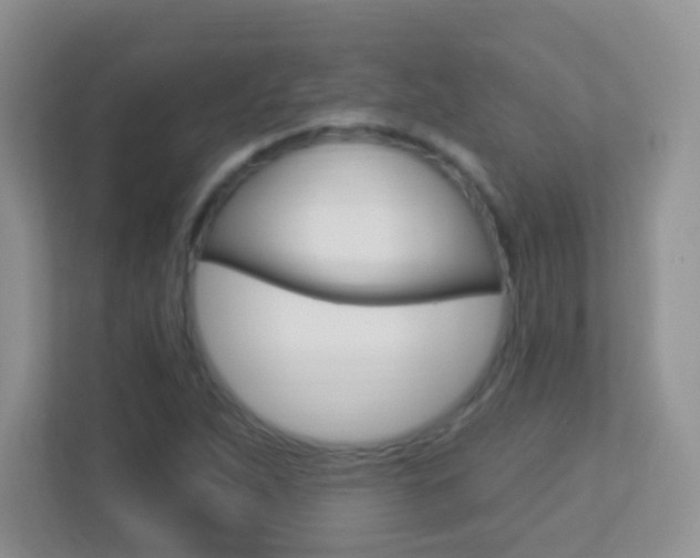 X0000113901263200909241155