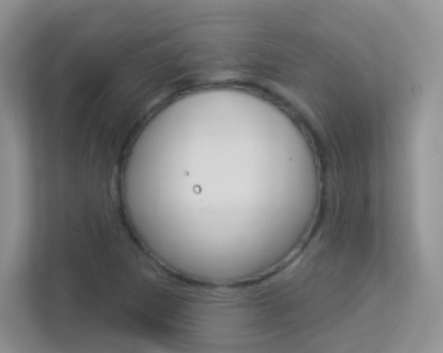 X0000113901265200909241155