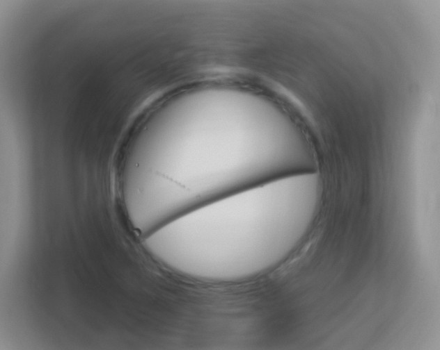 X0000113901267200909241155