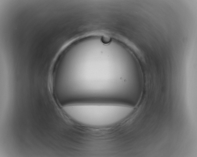 X0000113901272200909241155
