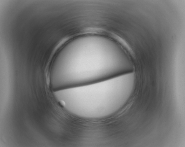 X0000113901275200909241155