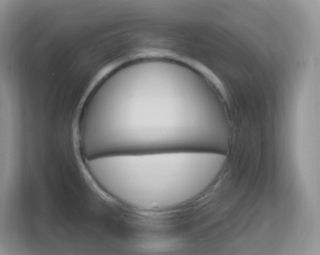 X0000113901287200909241155