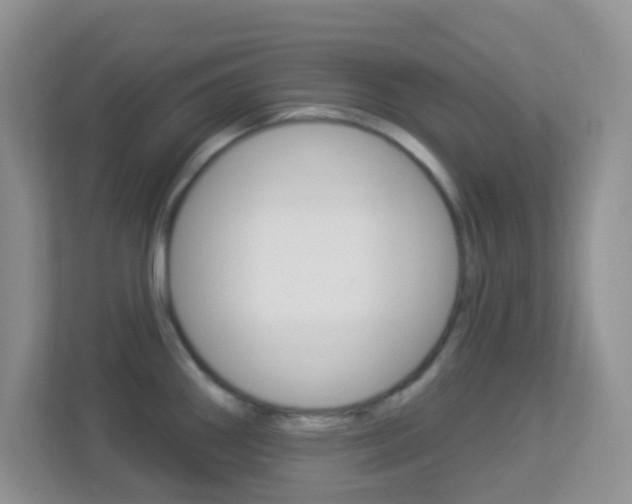 X0000113901290200909241155