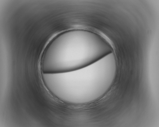 X0000113901291200909241155