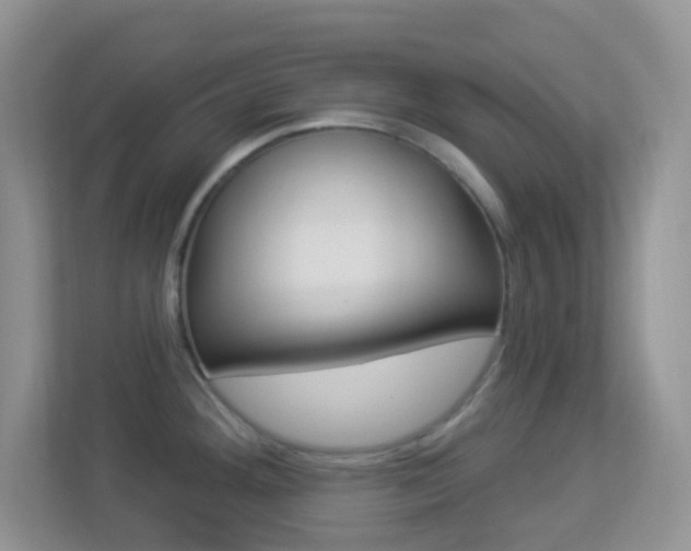 X0000113901292200909241155