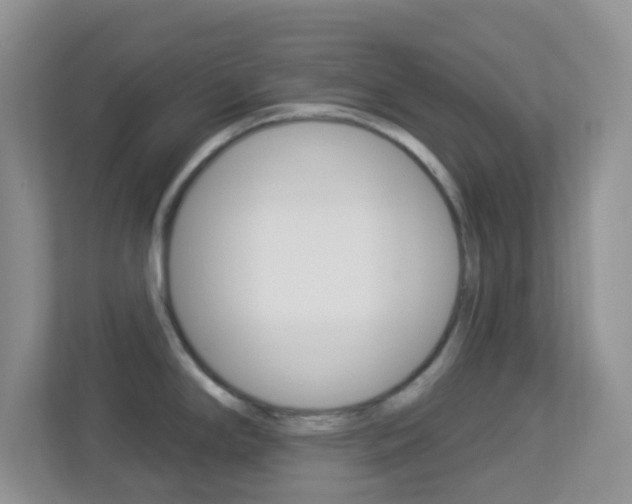 X0000113901294200909241155