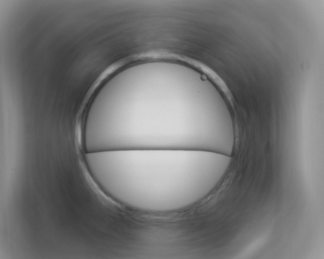 X0000113901295200909241155