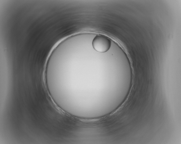 X0000113901296200909241155