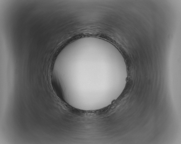 X0000113901297200909241154