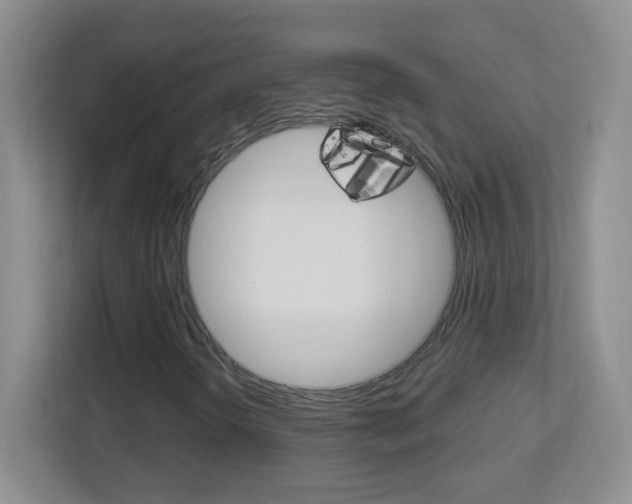 X0000113901298200909241154