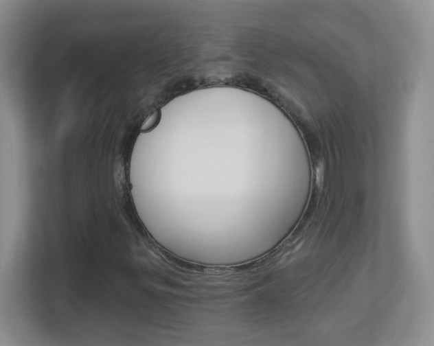 X0000113901299200909241154
