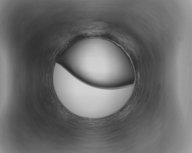 X0000113901300200909241154