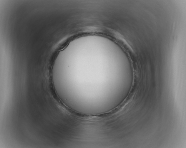 X0000113901304200909241154