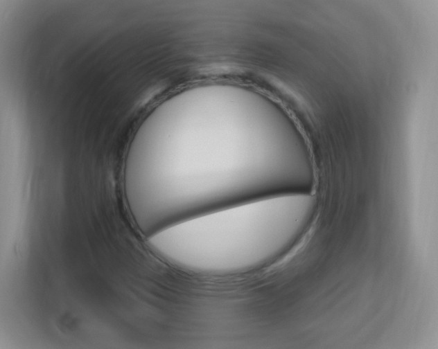 X0000113901305200909241154