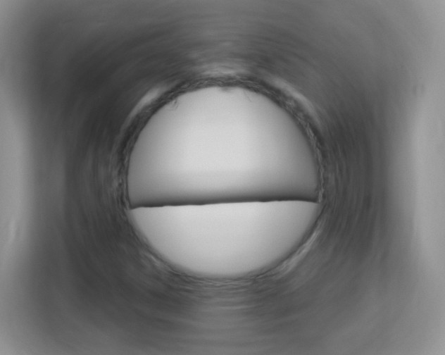 X0000113901306200909241154