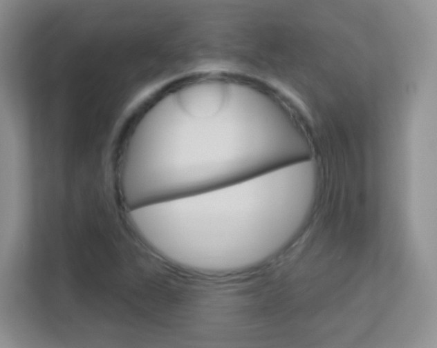 X0000113901311200909241154