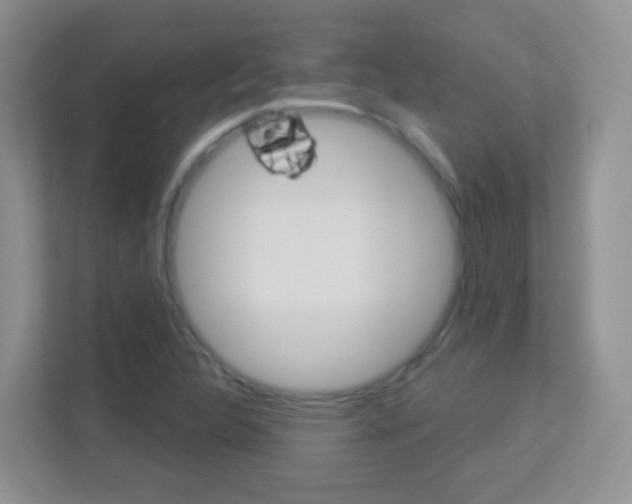 X0000113901312200909241154