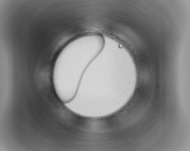 X0000113901314200909241154