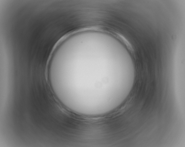 X0000113901324200909241154