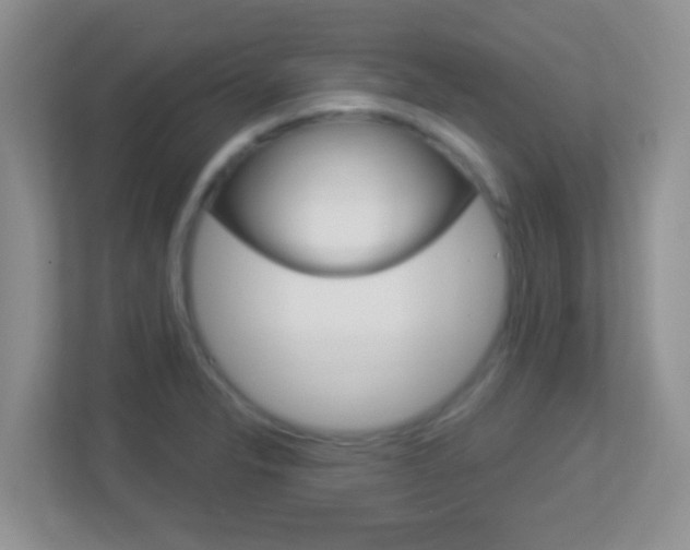 X0000113901326200909241154