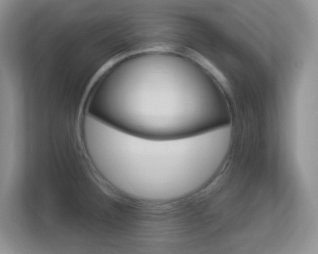 X0000113901332200909241155