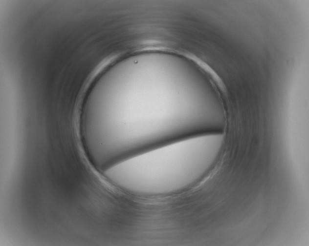 X0000113901333200909241155