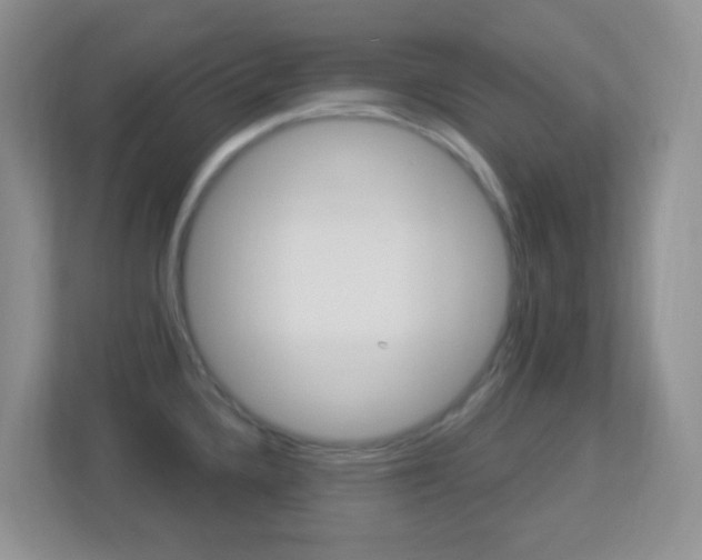 X0000113901336200909241155