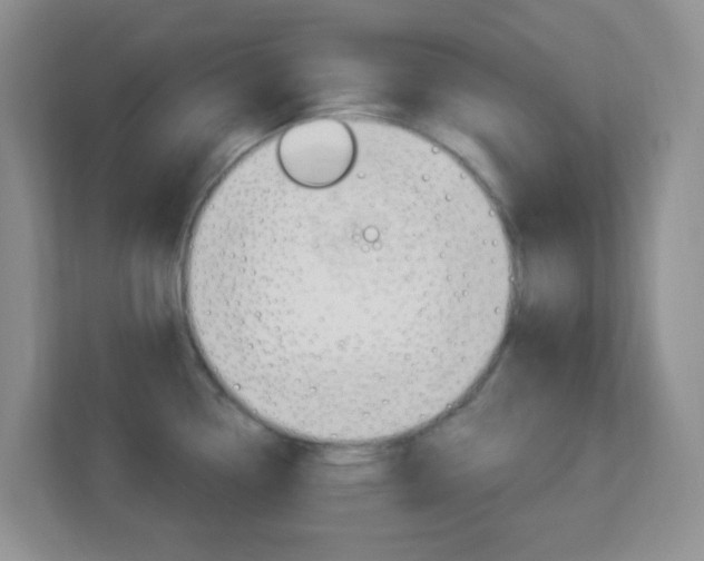 X0000113901338200909241155