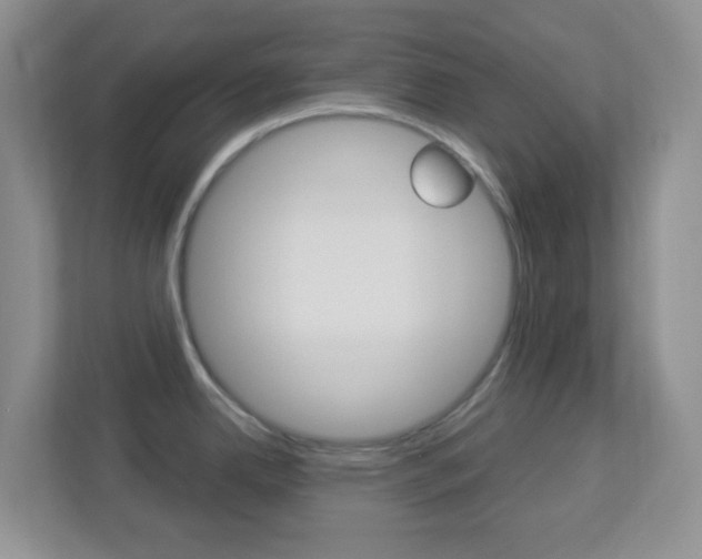 X0000113901342200909241155