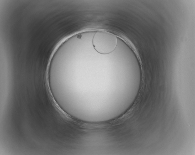 X0000113901344200909241155