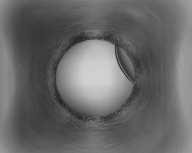 X0000113901345200909241154