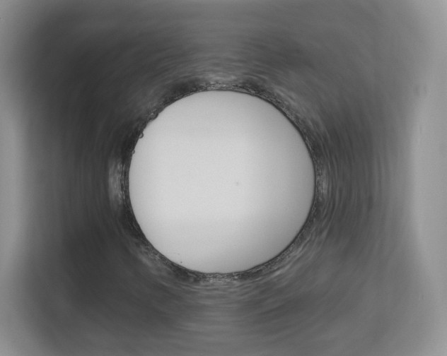 X0000113901346200909241154