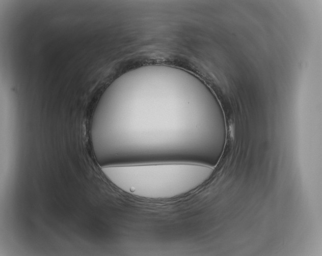X0000113901347200909241154