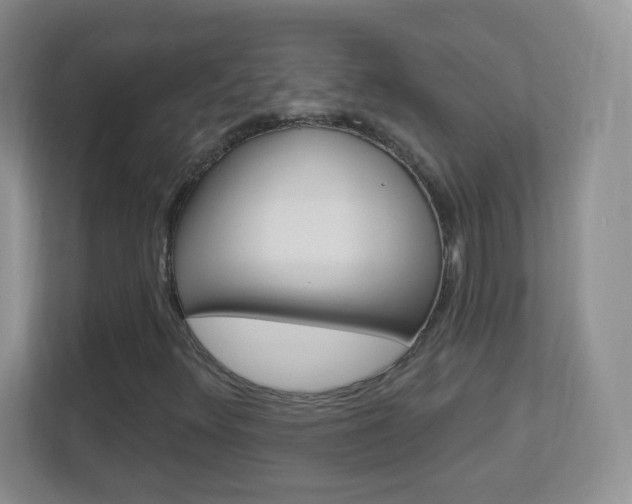 X0000113901348200909241154