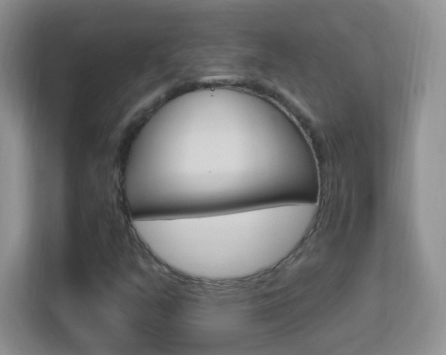 X0000113901351200909241154
