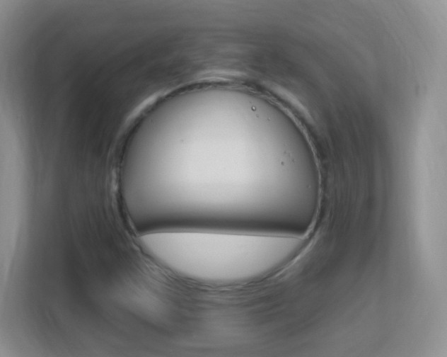 X0000113901355200909241154