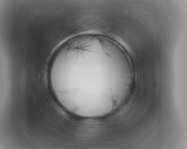 X0000113901356200909241154