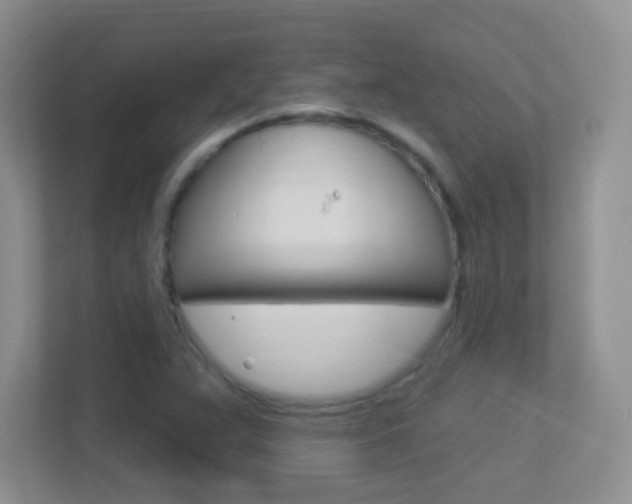 X0000113901359200909241154
